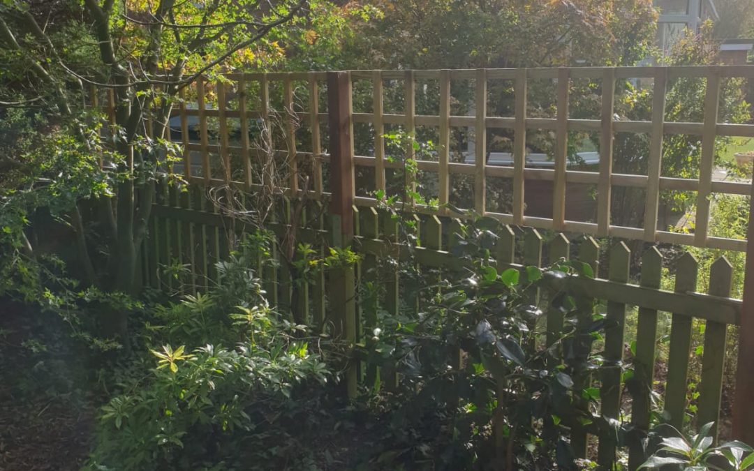 Fencing and Turfing Case Study